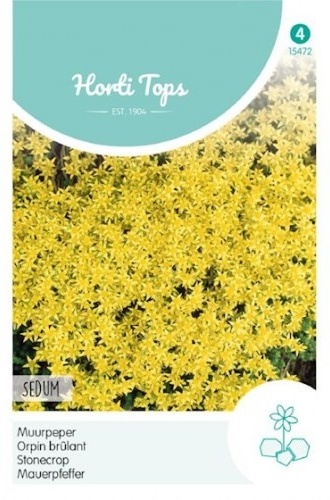Sedum acre Yellow/Gold Stonecrop cca. 0,125 g